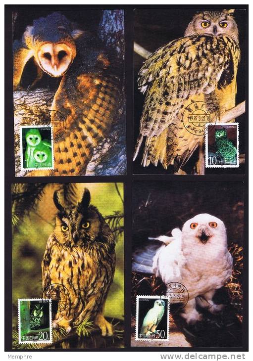 1995  Owls  Complete Set   Hiboux Et Chouettes  Eulen - Maximumkaarten