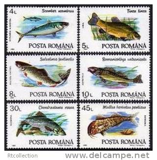 Romania 1992 Sealife Marine Life Fish Animal Fishes Animals Fauna Nature Shell MNH Michel 4776-4781 Romania 3728-3733 - Unused Stamps