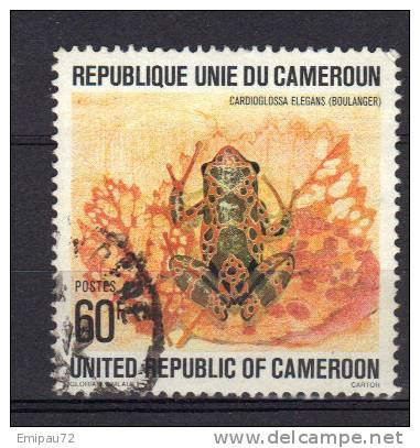 CAMEROUN-Timbre N°622-oblitéré-(grenouill E) - Frösche