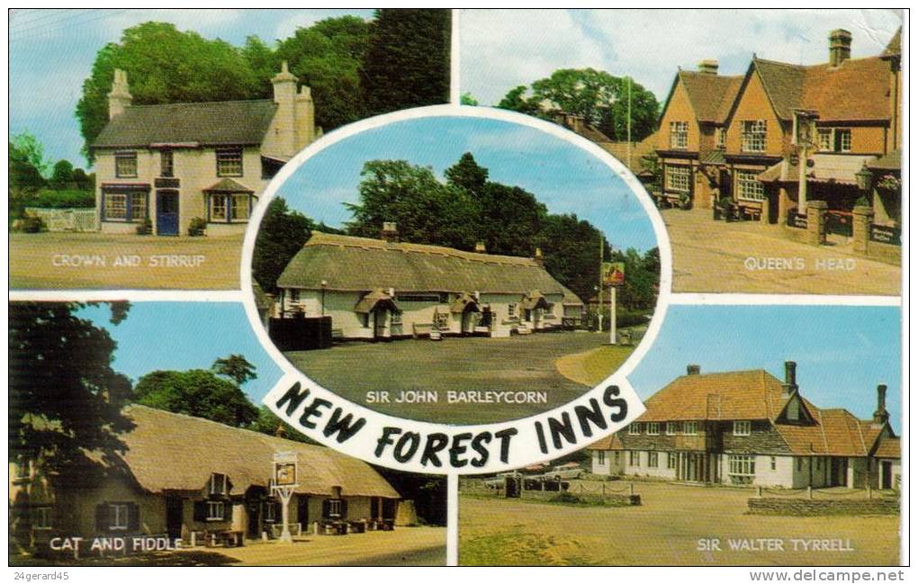 CPSM NEW FOREST INNS HAMPSHIRE (Royaume Uni-Angleterre-Hampshire) RESTAURANT AUBERGE- 5 Vues - Autres & Non Classés