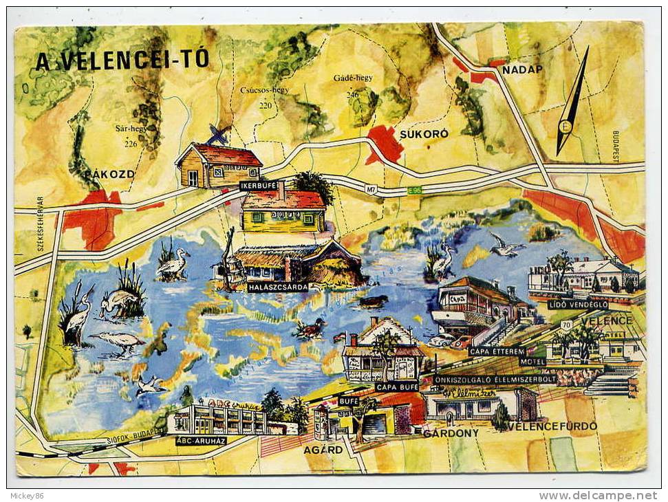 Hongrie--A  VELENCEI- TO--1966---Carte Géographique - Hongrie