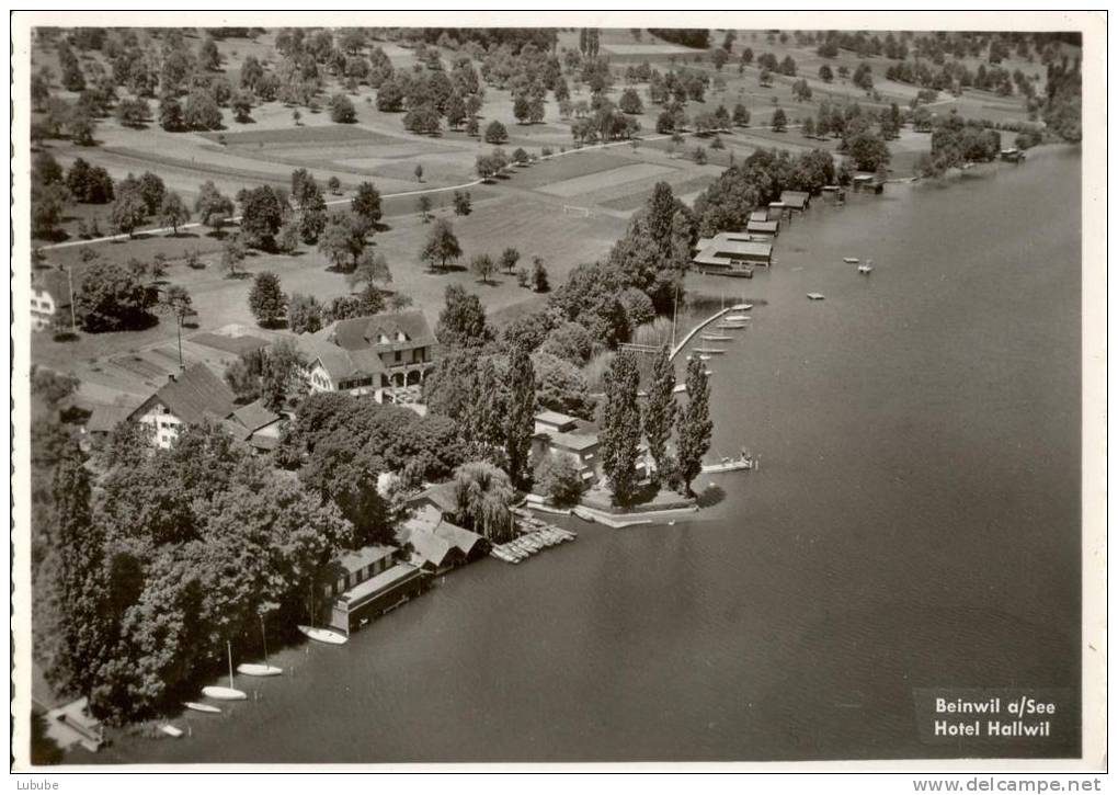 Beinwil Am See - Luftaufnahme Hotel Hallwil          Ca. 1950 - Beinwil Am See