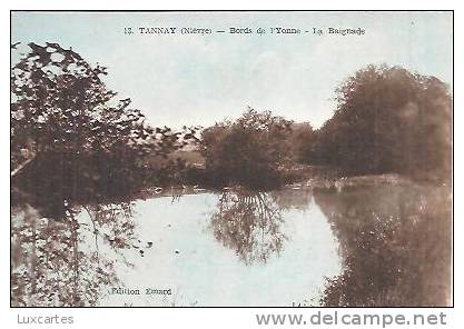 13. TANNAY. BORDS DE L' YONNE. LA BAIGNADE. - Tannay