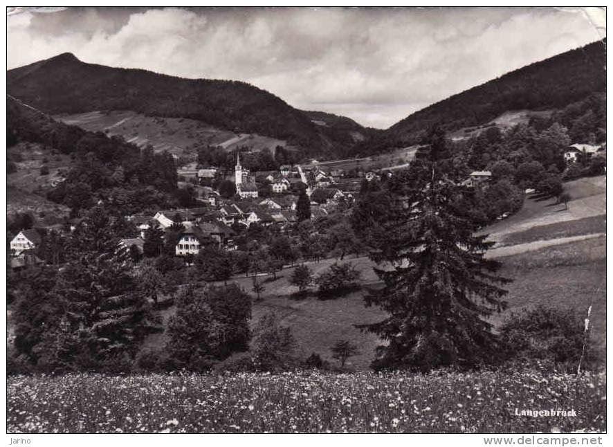 Schweiz >  BL Basel-Land, Landenbruck 1953,  Galaugen Ja - Sonstige & Ohne Zuordnung