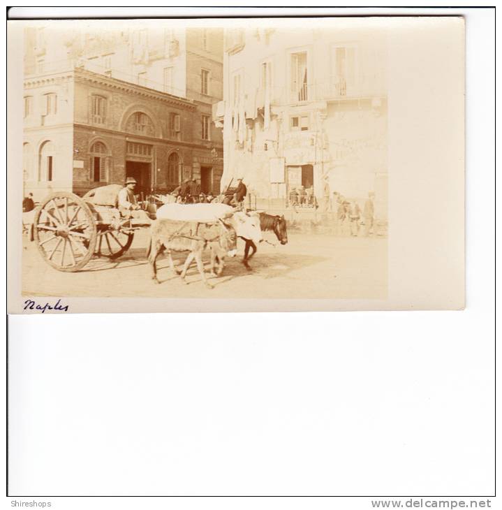 Real Foto Photograph Napoli Naples Italy Man With Donkey Bull Horse Cart Street Scene Trattoria - Napoli (Naples)