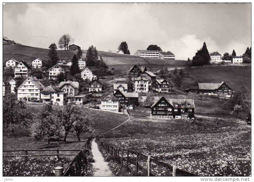 Schweiz > AR Appenzell Ausserrhoden 1964, Speicher, Hinterdorf Mit V&#337;gellnsegg Und Kurhaus Beutler,   Galaugen Ja 1 - Speicher