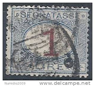 1890-94 REGNO USATO SEGNATASSE 1 LIRA - RR9829 - Taxe