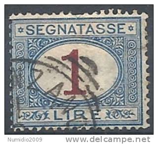 1890-94 REGNO USATO SEGNATASSE 1 LIRA - RR9830-2 - Strafport