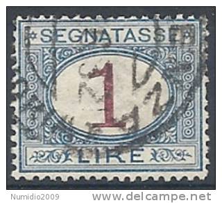1890-94 REGNO USATO SEGNATASSE 1 LIRA - RR9830-4 - Taxe