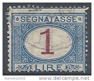 1890-94 REGNO USATO SEGNATASSE 1 LIRA - RR9830-6 - Strafport