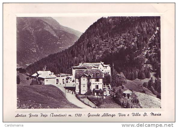 Pejo(Trento)-Grande Albergo Vior E Villa S. Maria-1952 - Trento