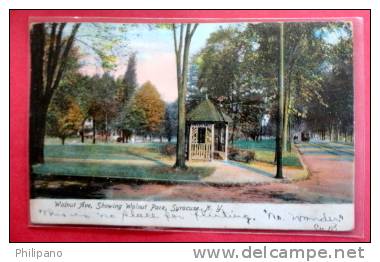 New York > Syracuse   Walnut Ave Showing Walnut Park  1907  Paper Residue From Album Comm. Stamp   Cancel----ref 402 - - Syracuse