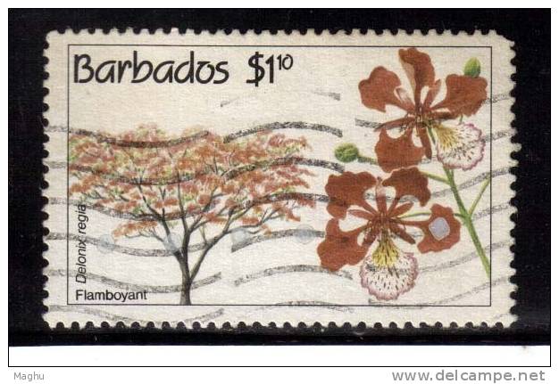 Barbados Used 1992, 1.10c Flora Tree Series, Flower - Barbados (1966-...)