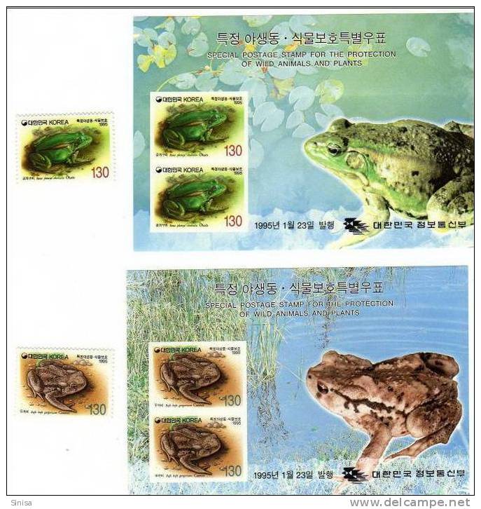 South Korea / Animals / Frogs - Rane