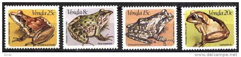 Venda / Animals / Frogs - Kikkers