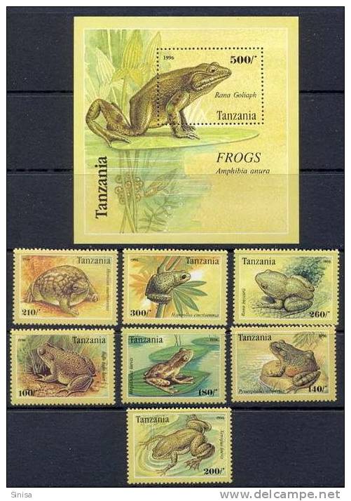 Tanzania / Animals / Frogs - Rane