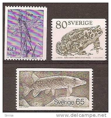 Sweden / Animals / Frogs / Fish / Moscito - Kikkers