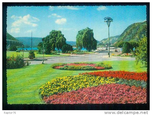 CPM  Neuve  Allemagne  ANDERNACH Am Rhein Public Garden Pier, Jardin Publique, Embarcadère - Andernach