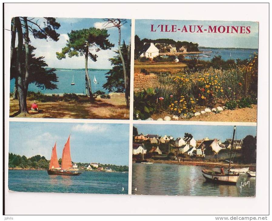 ( 56 )  ILE AUX MOINES  Voir Scans ( 2 ) - Ile Aux Moines