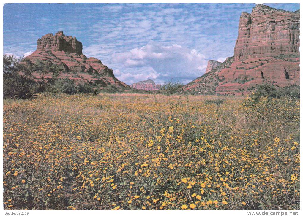 B53218 Sedona Arizona Bell And Cathedral Rocks Used Perfect Shape - Sedona