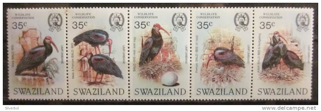 A5654 - Swaziland - 1984 - Sc. 448 - MNH - Swaziland (1968-...)