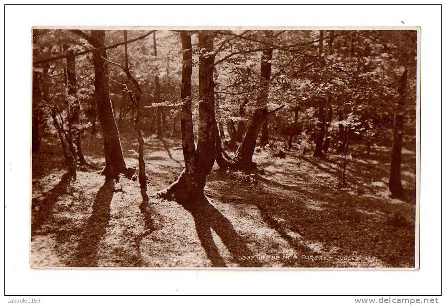 RUFUS STONE (Royaume Uni) : "Judges Real Photo Postcard Judges " ( With Old Stamp) - Other & Unclassified