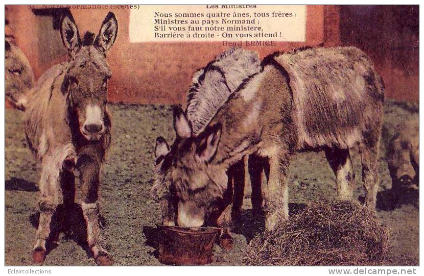 Anes        Normandie        Poeme D'Ermice - Donkeys