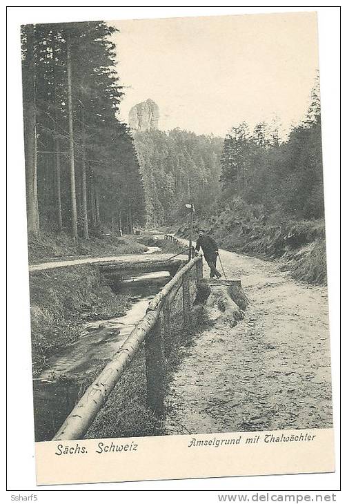 Sachs Schweiz Amselgrund Mit Thalwächter C. 1908 - Kirnitzschtal