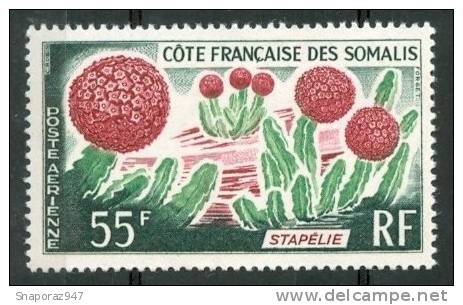 1966 Costa Francese Dei Somali Flora Cactus Piante Plants Plantes Set MNH** B368 - Sukkulenten