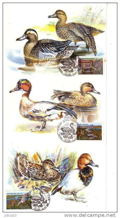 Fauna Birds Ducks 1992 Russia 3 X Maximum Cards Mi 254-256 #11679 - Cartoline Maximum