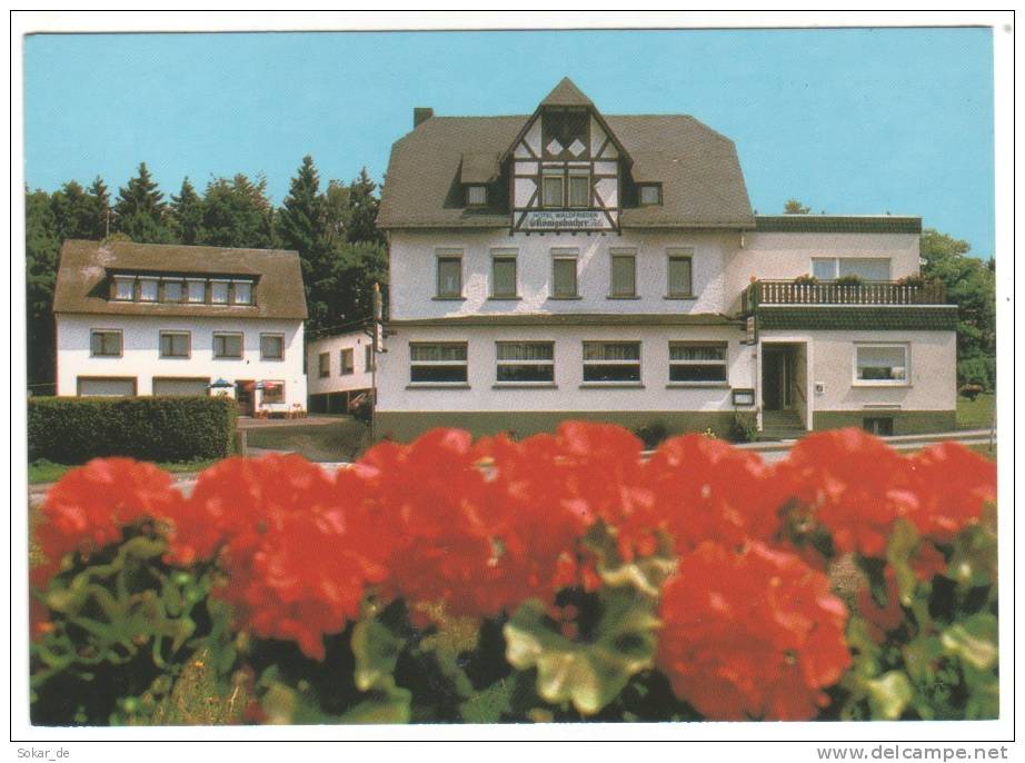 AK Emmelshausen Hunsrück Rheinland-Pfalz, Hotel Waldfrieden - Emmelshausen