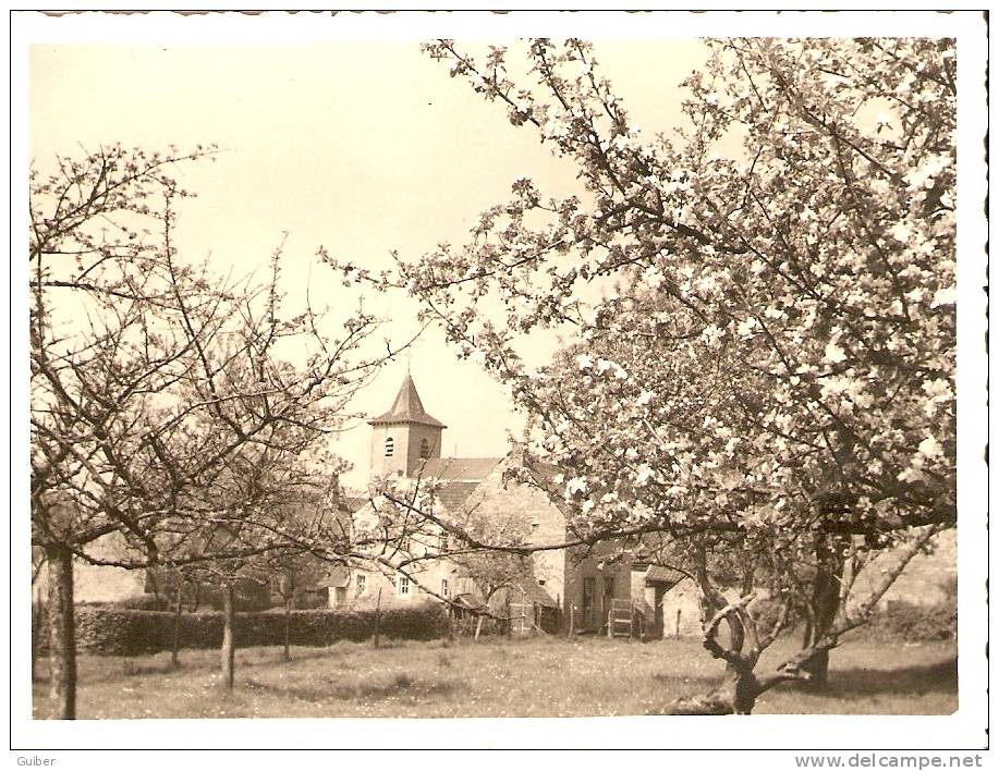 Ouffet Ellemelle Photo Menu L'église Pommier En Fleur 24cmX9cm - Ouffet