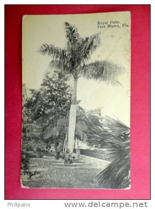 Florida > Fort Myers  Royal Palm    1914 Cancel==   ===  =ref 403 - Fort Myers