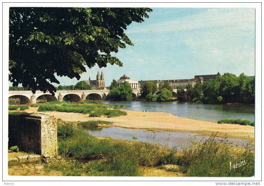 TOURS  - La Loire, Le Pont Wilson Ou "pont De Pierre", La Bibliothèque Municipale Et La Cathédrale St-Gatien - Tours