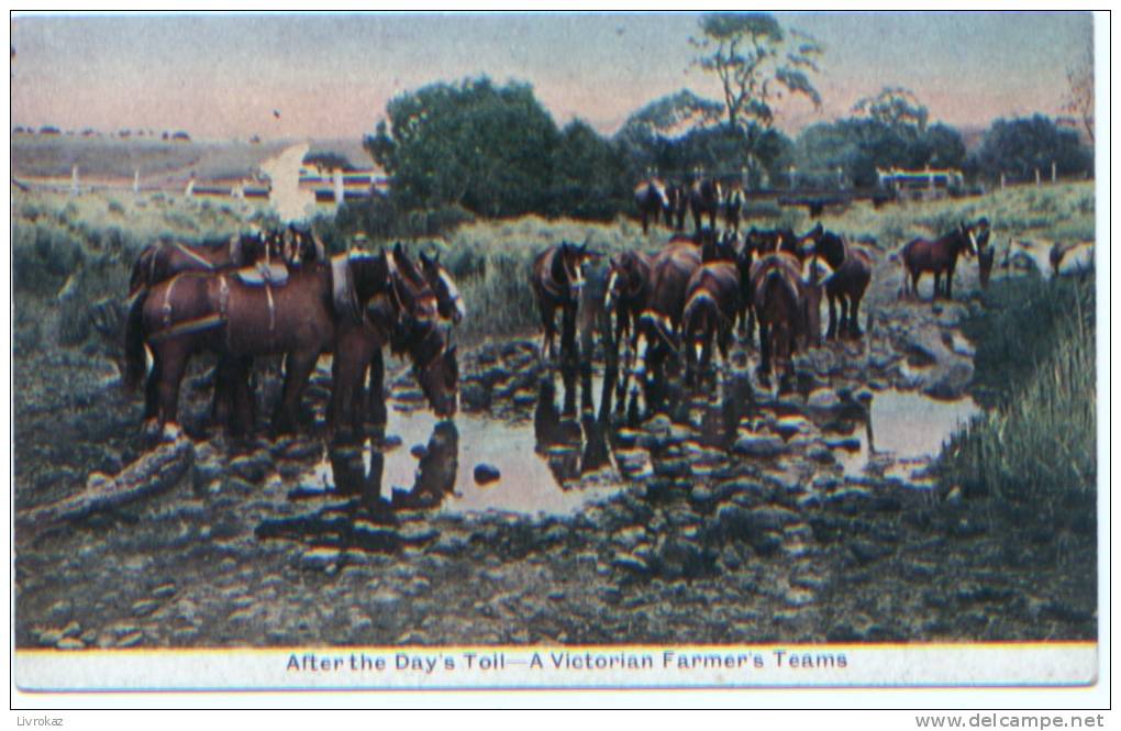 CPA Australie, Victoria, After The Day's Toil, A Victorian Farmer's Teams Chevaux, Pferd, Horse, Caballo, Cavallo, Paard - Autres & Non Classés