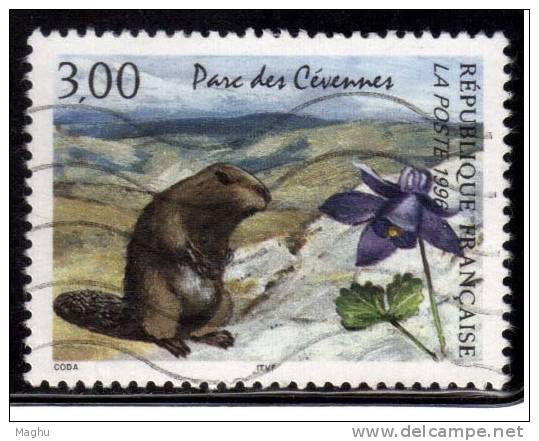 Rodents, Beaver, Animals 3.00f France Used 1996 , National Park Series, Nature, - Nager