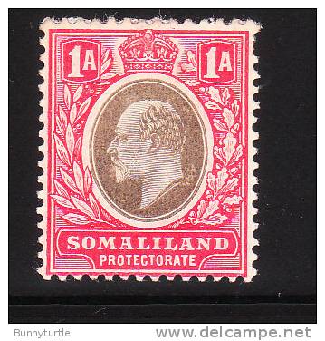 Somaliland Protectorate 1904 King Edward VII 1a Mint - Somalilandia (Protectorado ...-1959)