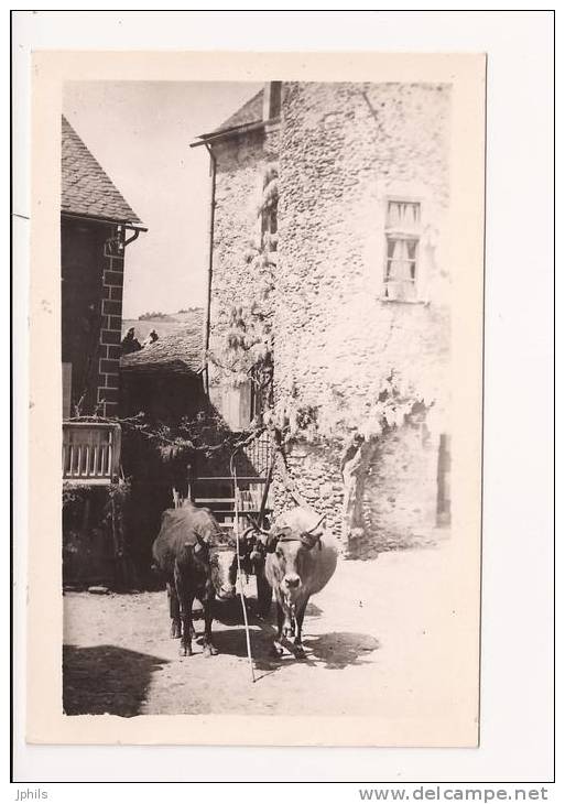 ( 12 )   SAINTE EULALIE D'OLT   La Mairie  , Attelage Tres Rare Carte Photo F.ULLERN - Autres & Non Classés