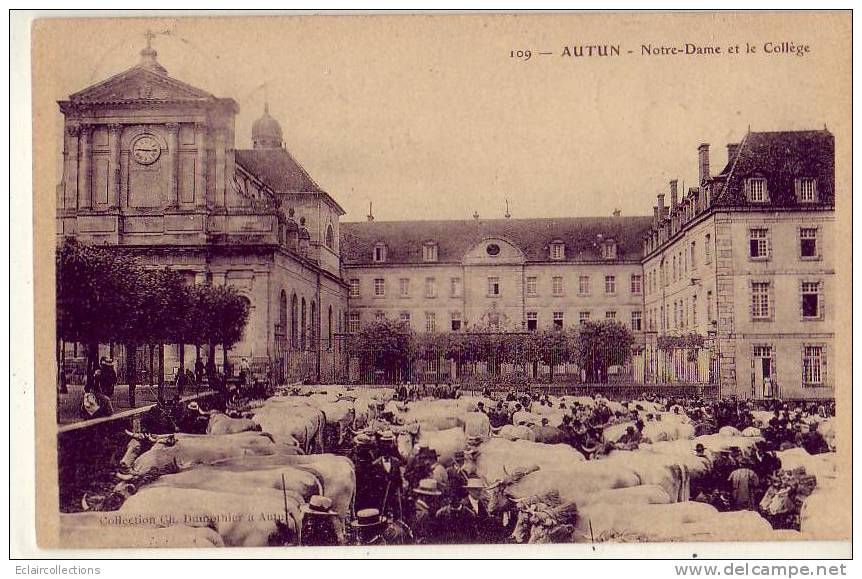 Autun      Marché Aux Bestiaux - Autun