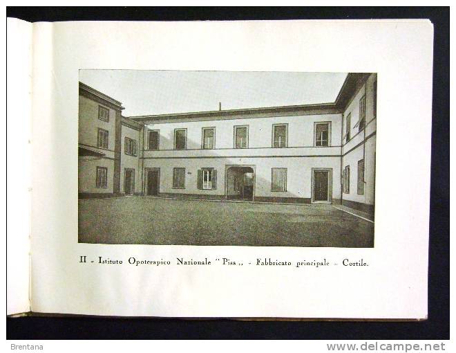 TOSCANA -PISA ISTITUTO OPOTERAPICO NAZIONALE PISA MISURA 20X15 ANNO  1934 - Pisa