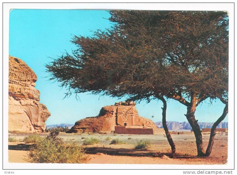 Postcard - Saudi Arabia    (V 8011) - Arabie Saoudite