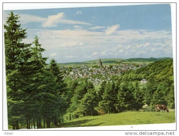 Allemagne Brilon  Im  Hochsauerland CPSM Non Circulé Bon Etat - Brilon