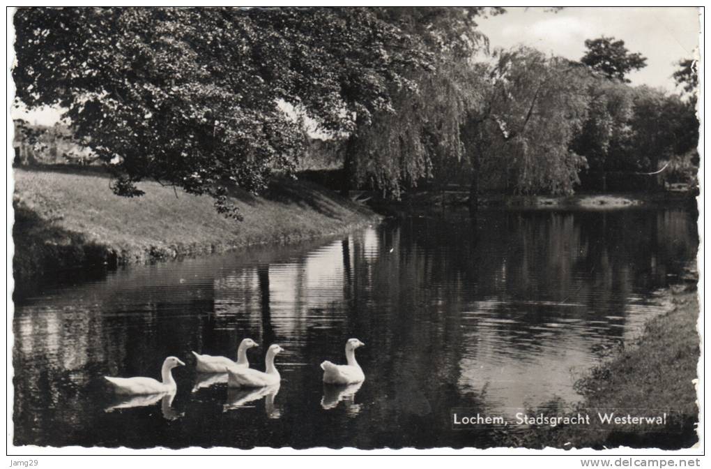 Nederland/Holland, Lochem, Stadsgracht Westerwal, 1959 - Lochem