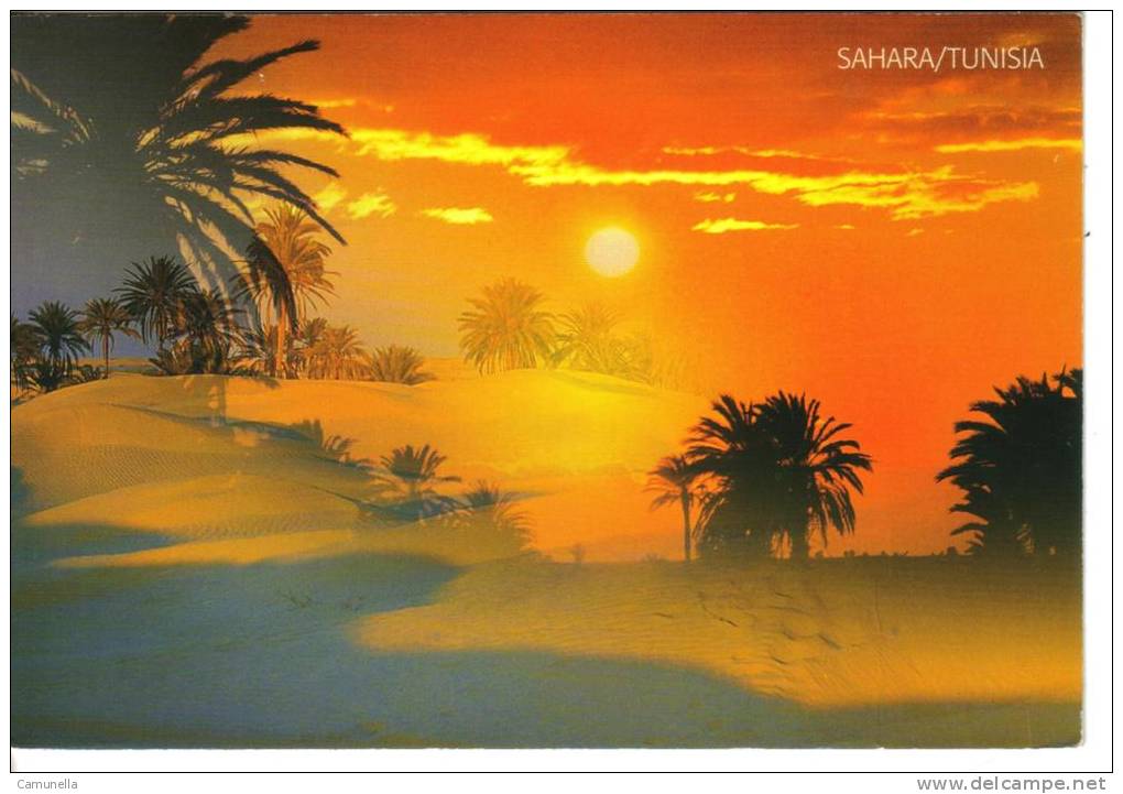 Cartolina Tramonti-tunisia-tunisie--sahara - Hold To Light