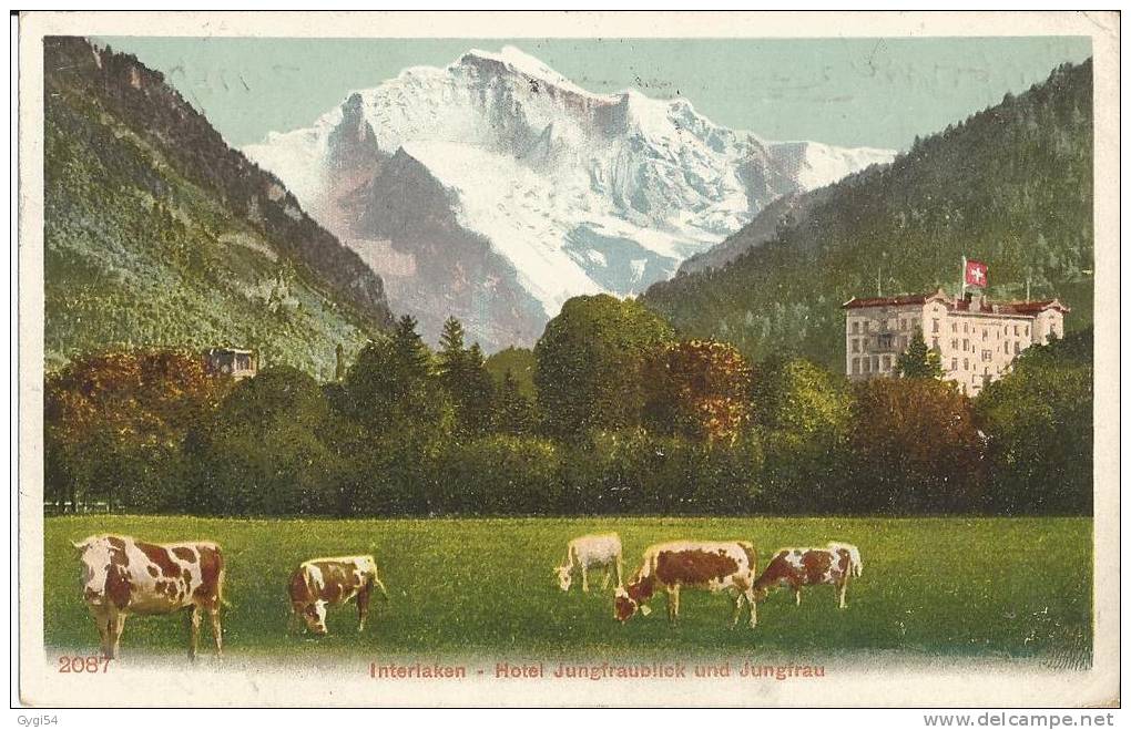 Interlaken  Hotel Jungfraublickund Jungfrau  CPA 1905 - Interlaken
