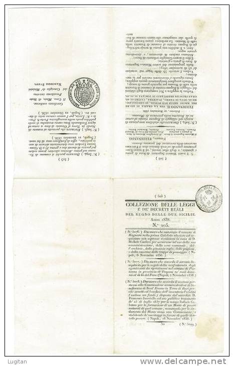 COLLEZIONE  DELLE LEGGI E DECRETI REALI DEL REGNO DELLE DUE SICILIE ANNO 1839 N° 203 - DECRETO - LEGGI - Gesetze & Erlasse