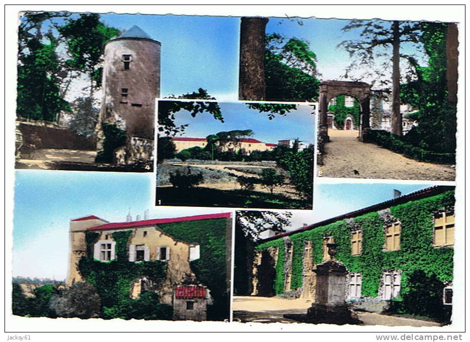 81 -castres -couvent Bleu -vue Multiples - Castres