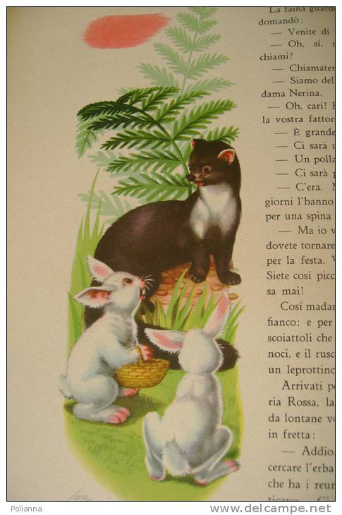 PEM/2 Lina Carpanini STORIE DI ANIMALI Fabbri Ed.anni '50/Illustrazioni Di V.Livraghi - Antiguos