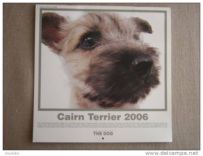 Calendrier Artlist Collection, The Dog ( Chien ). Cairn Terrier 2006. Voir 5 Photos. - Autres & Non Classés