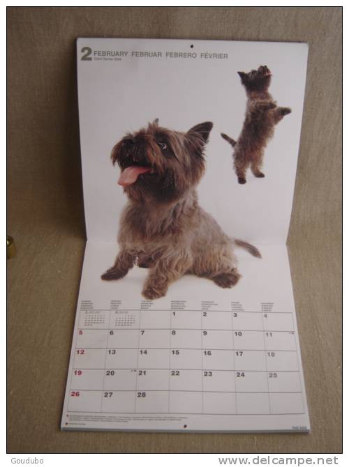 Calendrier Artlist Collection, The Dog ( Chien ). Cairn Terrier 2006. Voir 5 Photos. - Autres & Non Classés